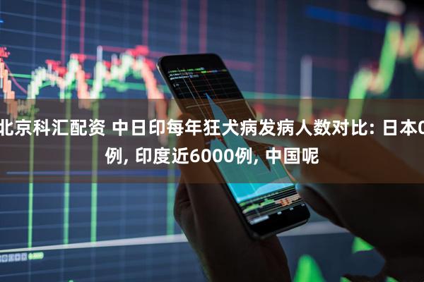 北京科汇配资 中日印每年狂犬病发病人数对比: 日本0例, 印度近6000例, 中国呢