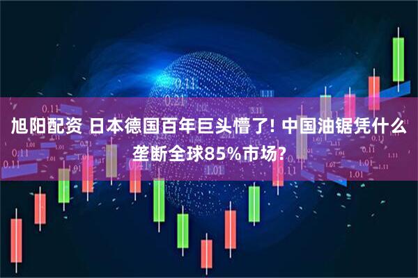 旭阳配资 日本德国百年巨头懵了! 中国油锯凭什么垄断全球85%市场?