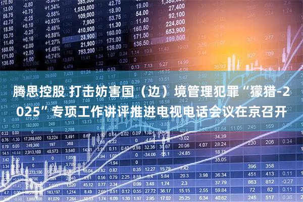 腾思控股 打击妨害国（边）境管理犯罪“獴猎-2025”专项工作讲评推进电视电话会议在京召开