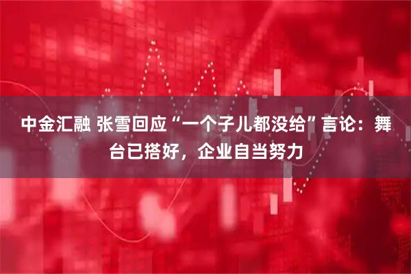 中金汇融 张雪回应“一个子儿都没给”言论：舞台已搭好，企业自当努力