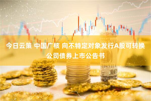 今日云策 中国广核 向不特定对象发行A股可转换公司债券上市公告书