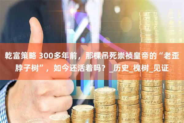 乾富策略 300多年前，那棵吊死崇祯皇帝的“老歪脖子树”，如今还活着吗？_历史_槐树_见证
