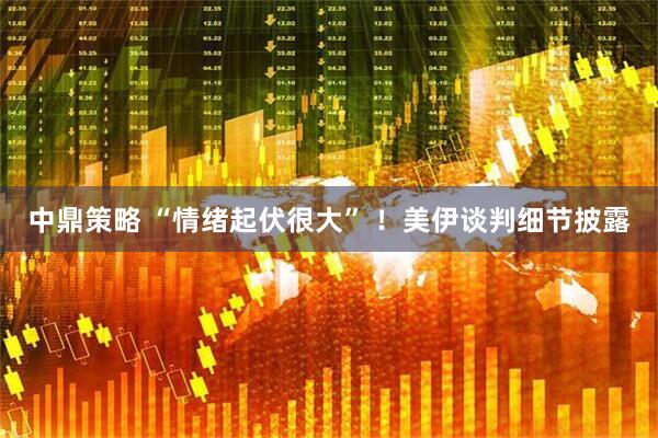 中鼎策略 “情绪起伏很大” ！美伊谈判细节披露