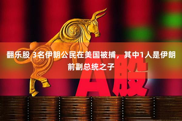 翻乐股 3名伊朗公民在美国被捕，其中1人是伊朗前副总统之子